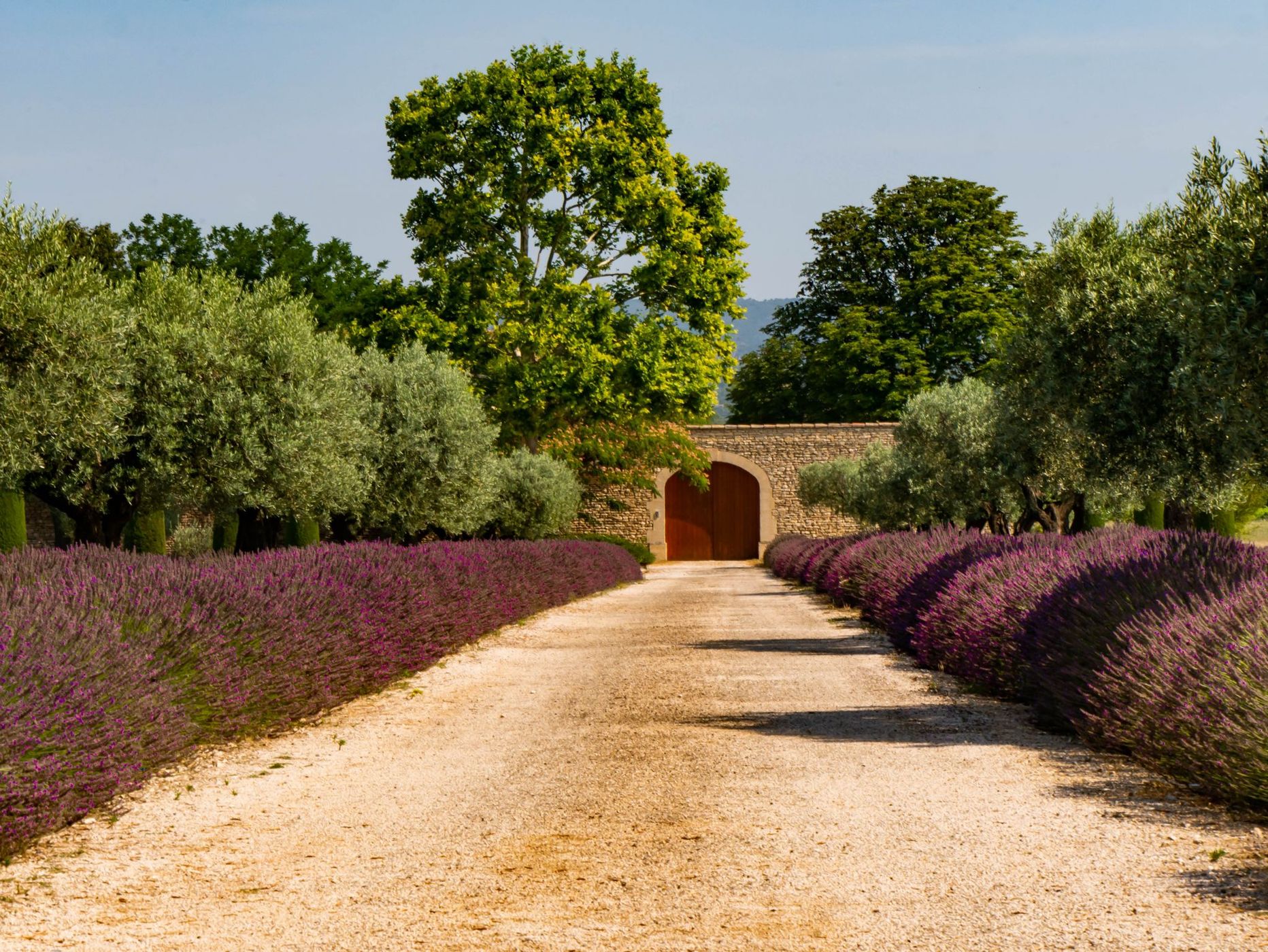 House with lavender, France