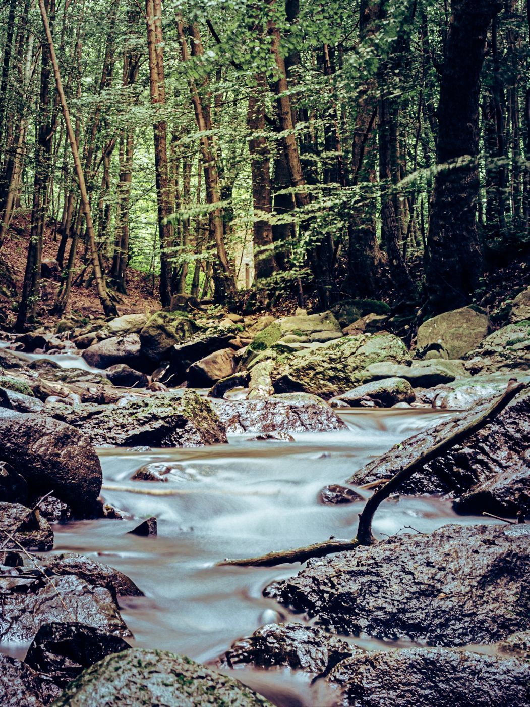 Ilsestein, Germany