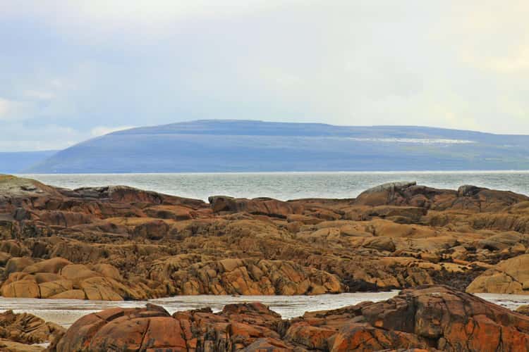 Cartron Harbour