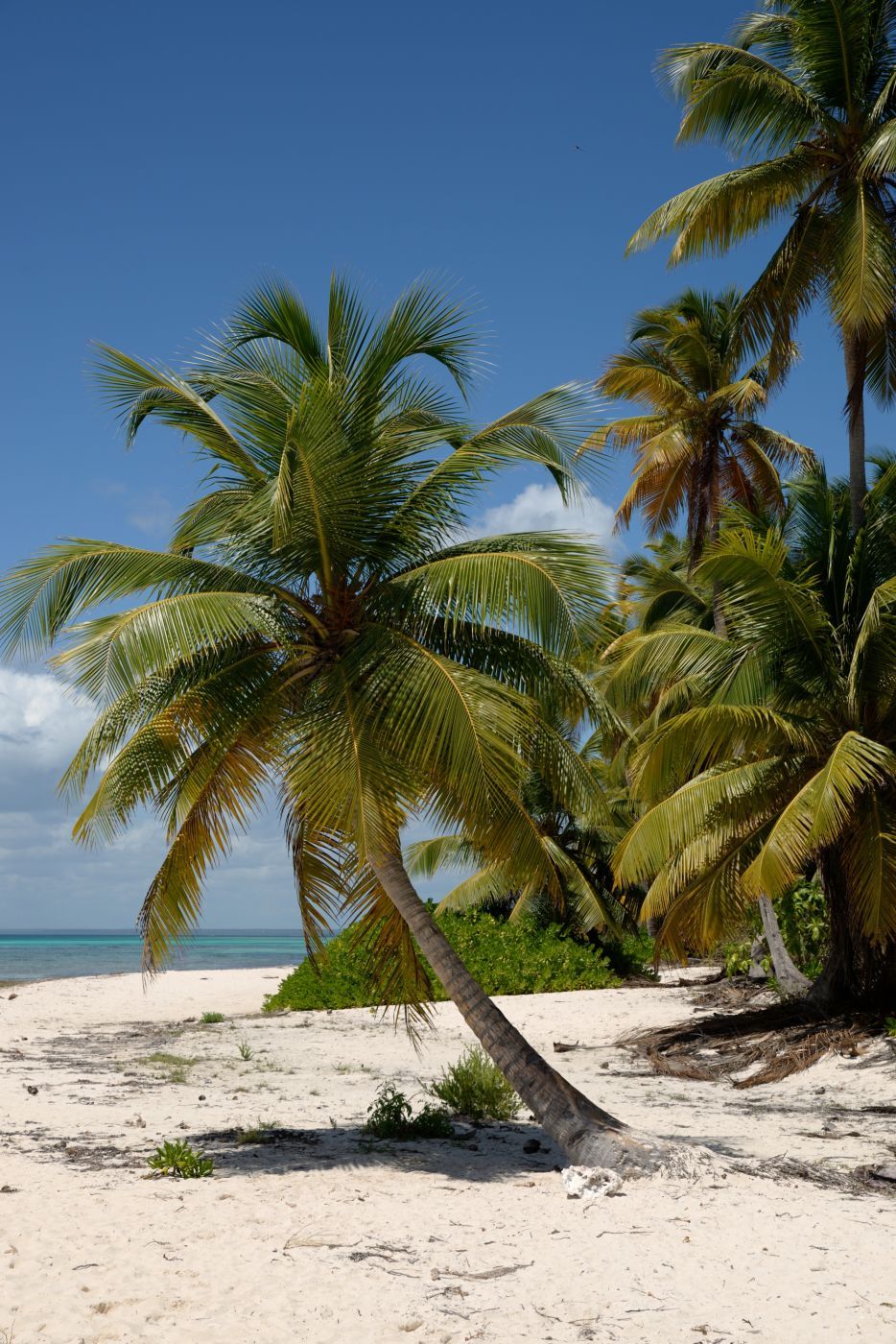 Island Saona, Dominican Republic