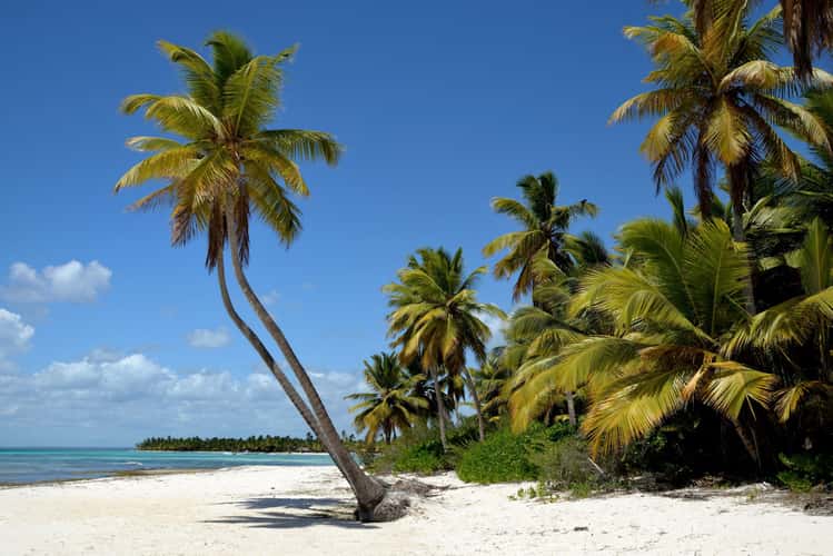 Island Saona
