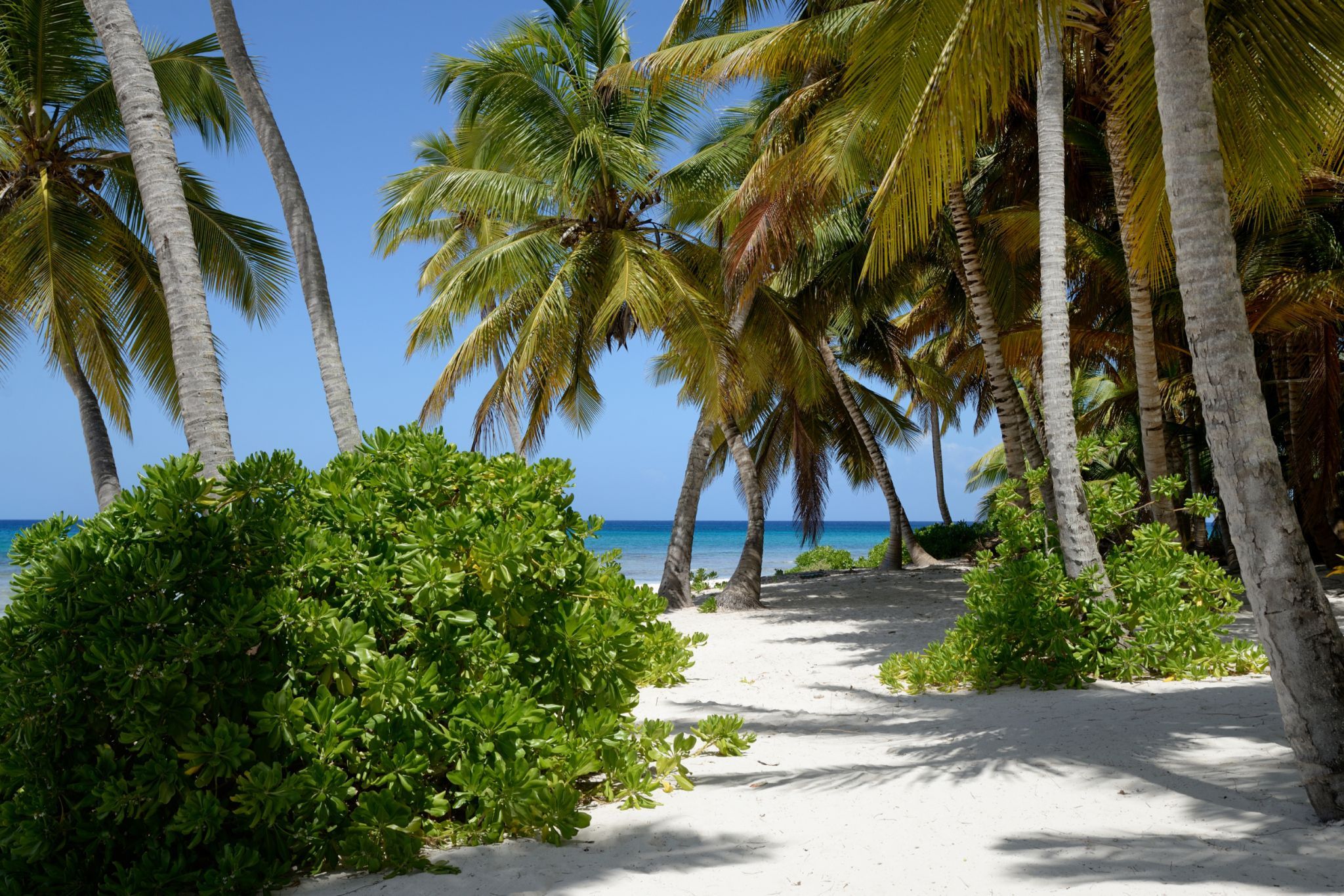 Island Saona, Dominican Republic