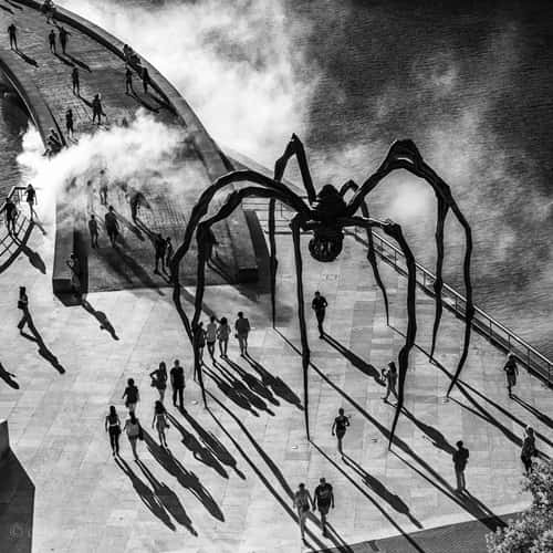 Itsy bitsy Spider. Bilbao.