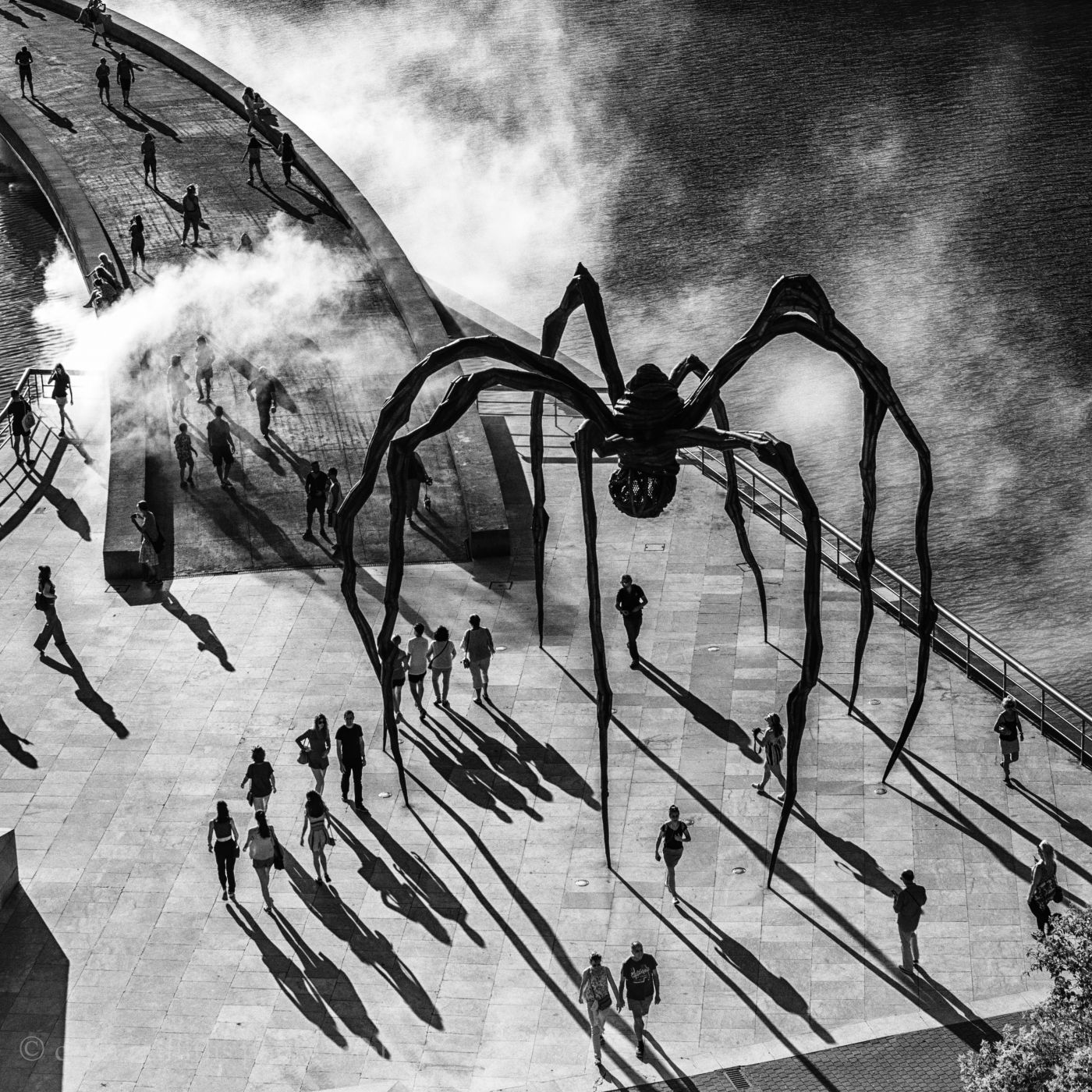 Itsy bitsy Spider. Bilbao., Spain