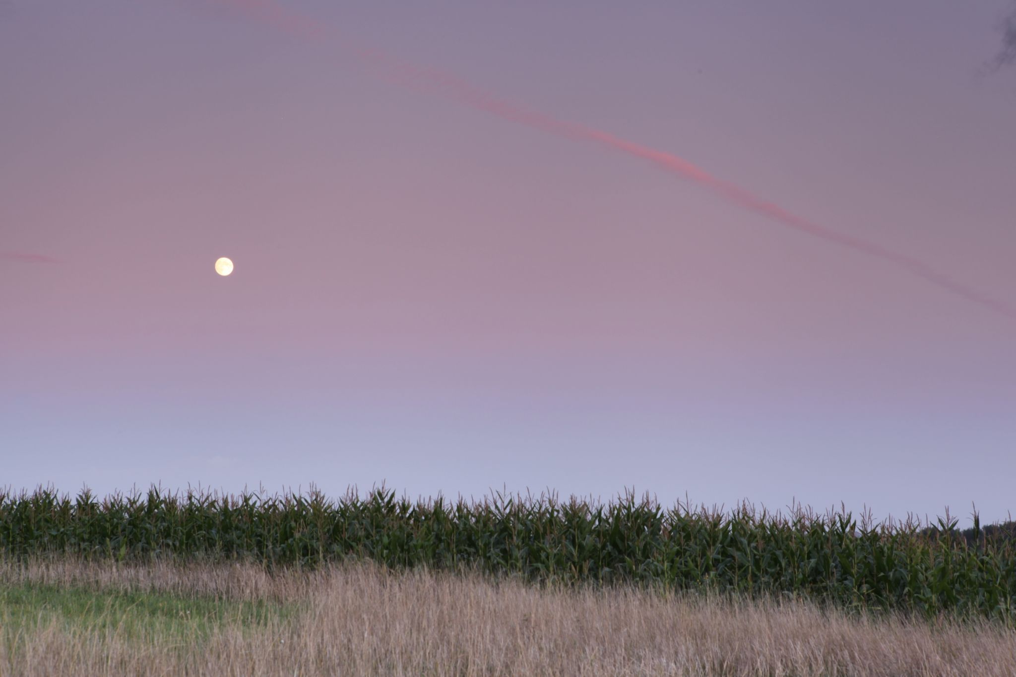 Kent Sunrise, United Kingdom