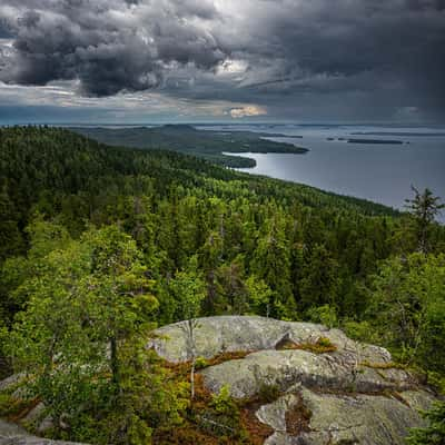 Koli National Park, Finland