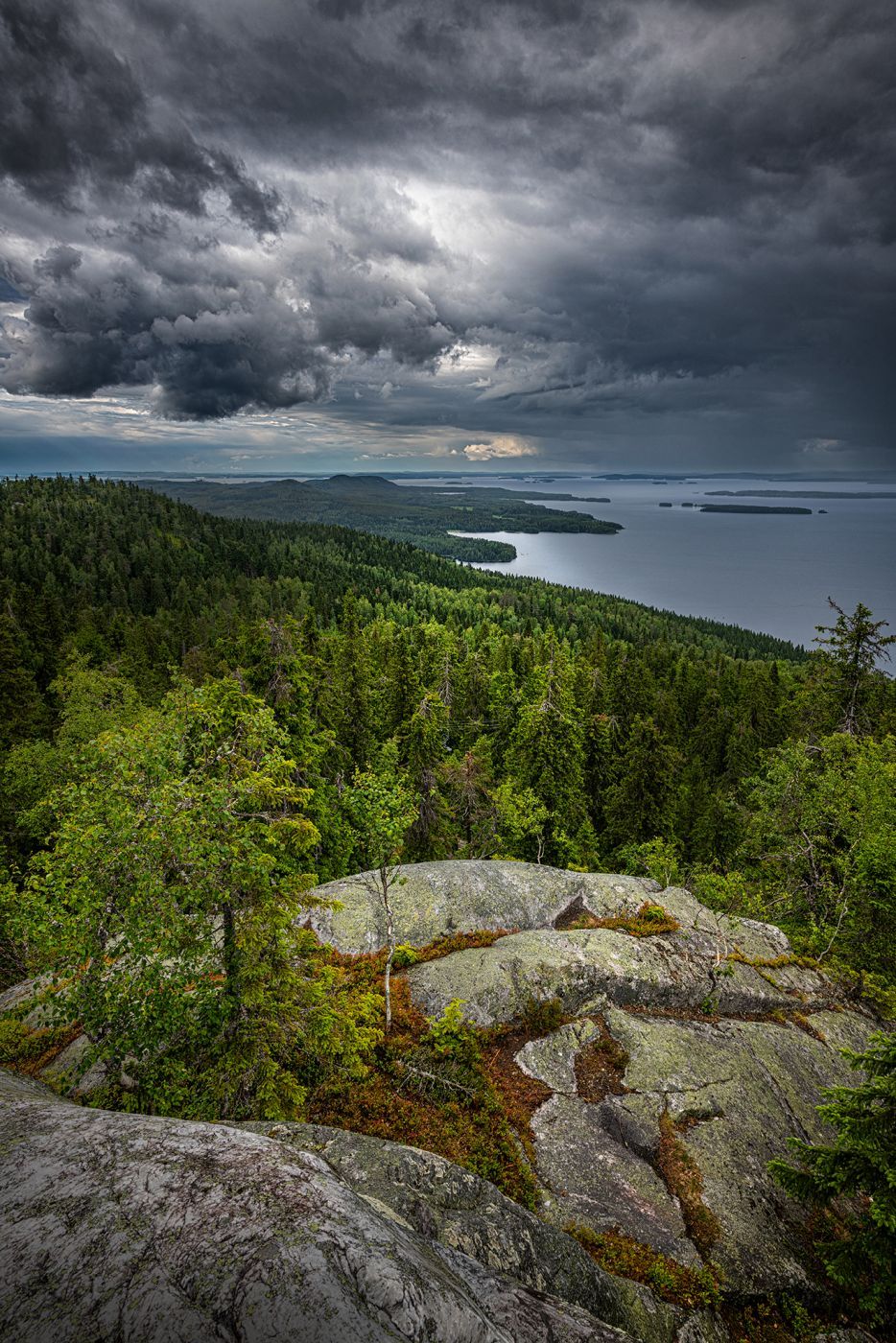 Koli National Park, Finland