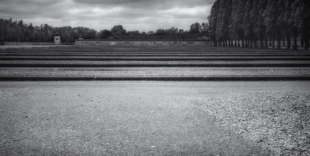 Lest we forget - Vergiss Nicht