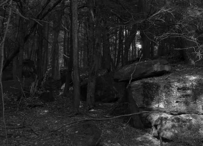 ''Little' Beartown Rocks'
