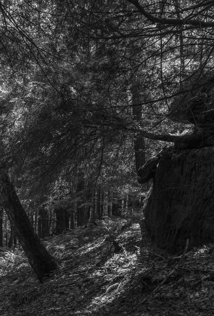 ''Little' Beartown Rocks', USA
