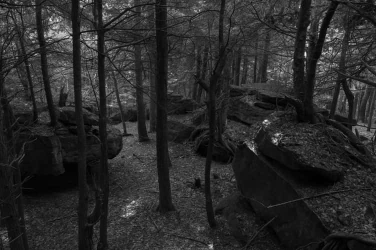 ''Little' Beartown Rocks'