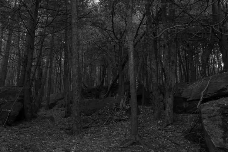 ''Little' Beartown Rocks'