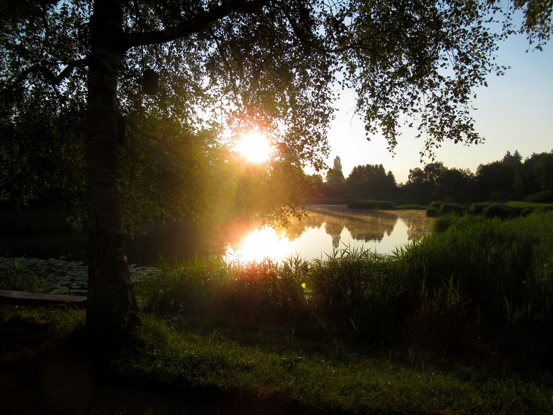 Märwiler Riet nature reserve, Switzerland