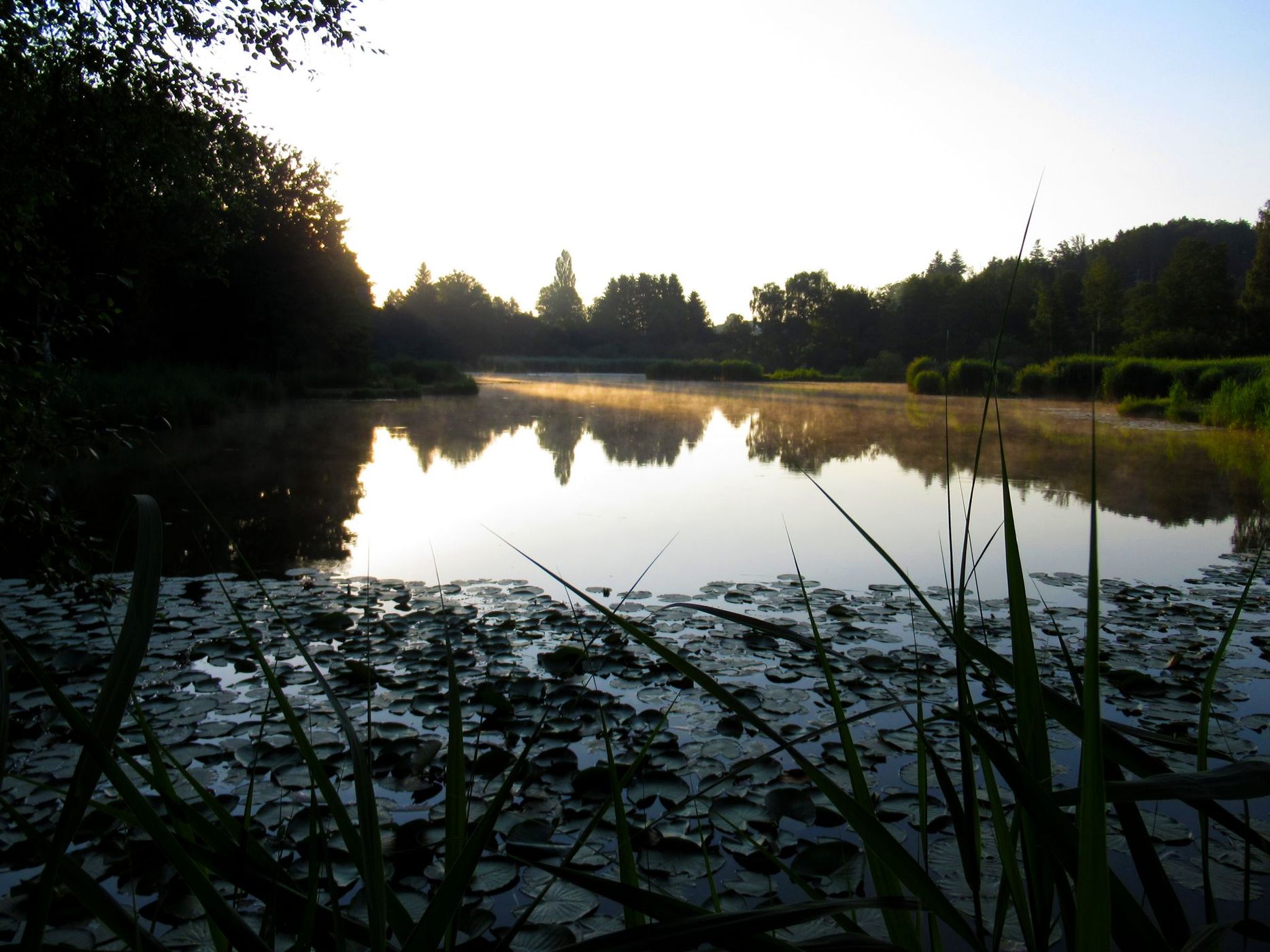 Märwiler Riet nature reserve, Switzerland