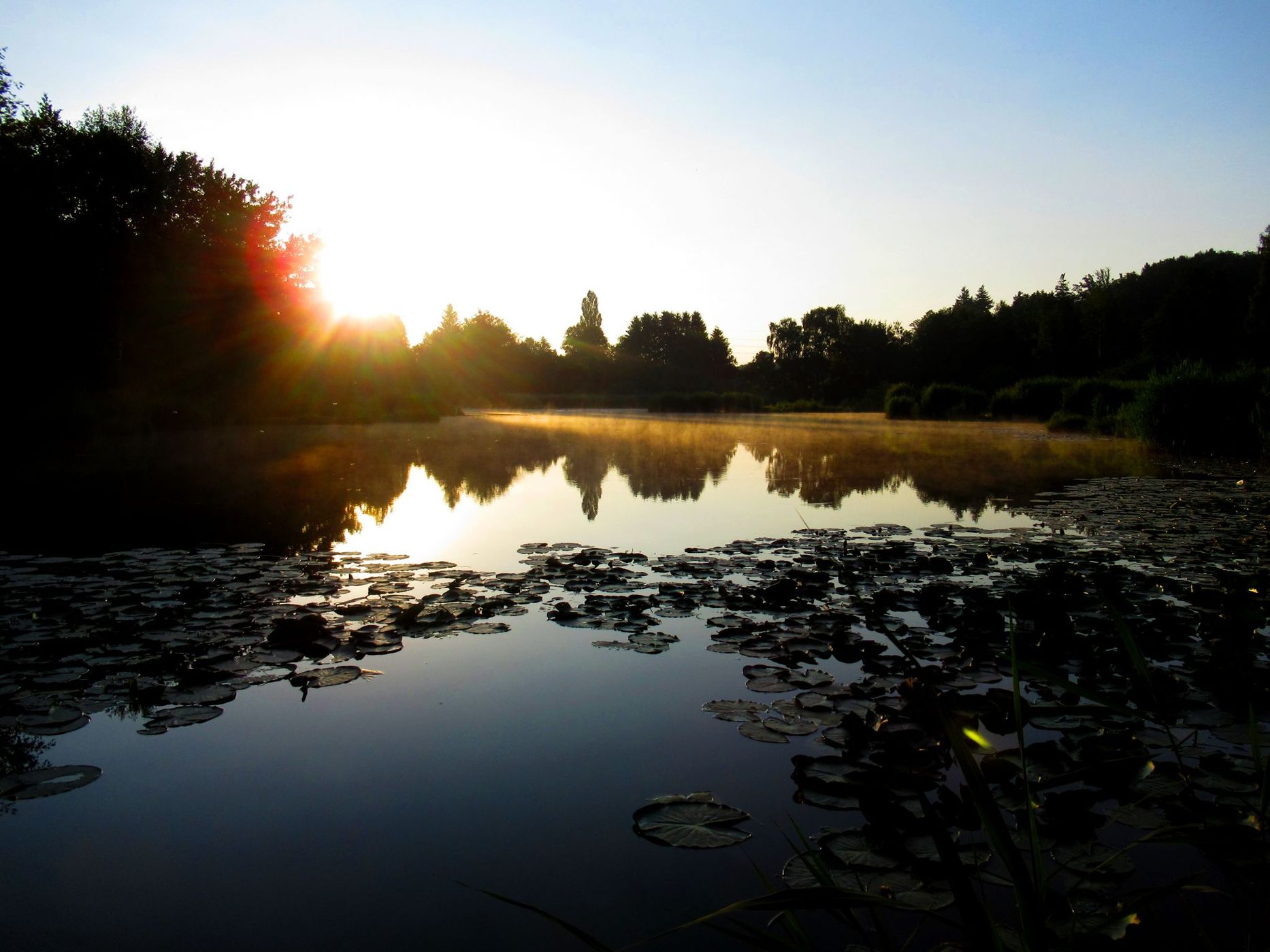 Märwiler Riet nature reserve, Switzerland