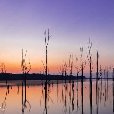 Manasquan Reservoir, NJ, USA