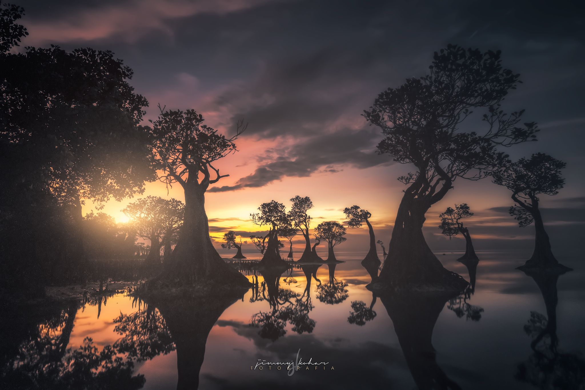 Mangrove Trees of Walakiri Beach, Indonesia