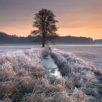 Mönchbruch, Germany