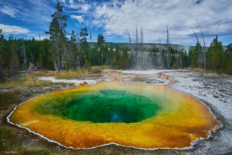 Morning Glory Pool, Yellowstone National Park