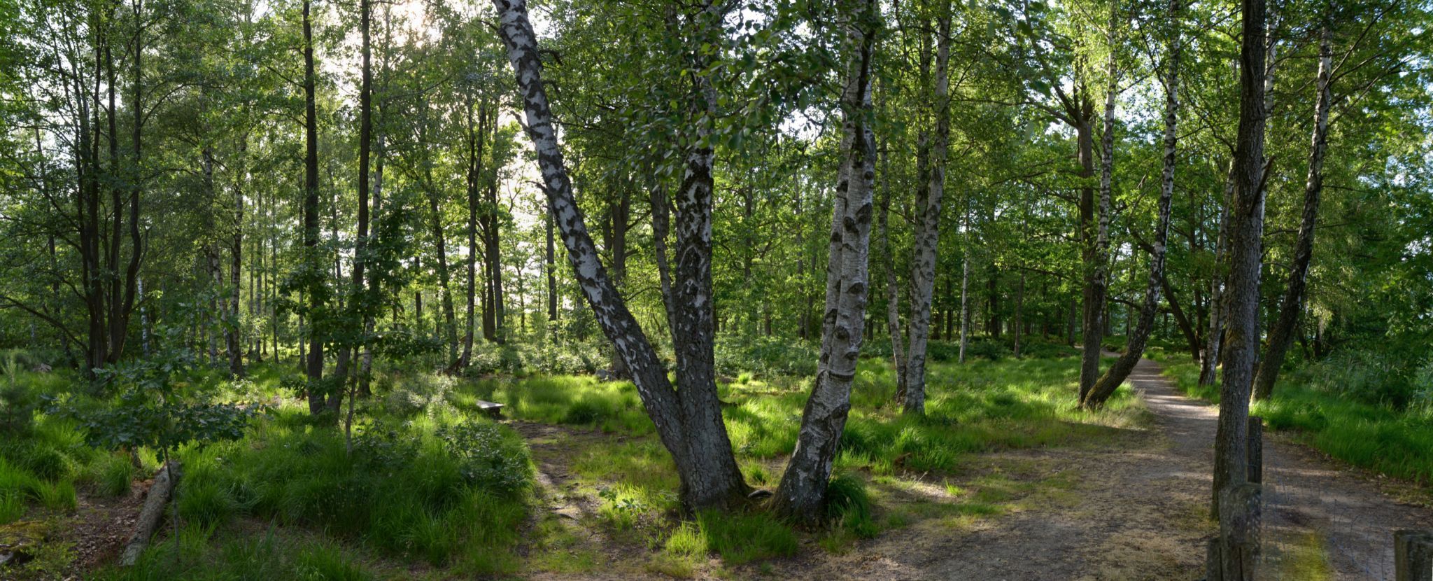 Osby, Sweden