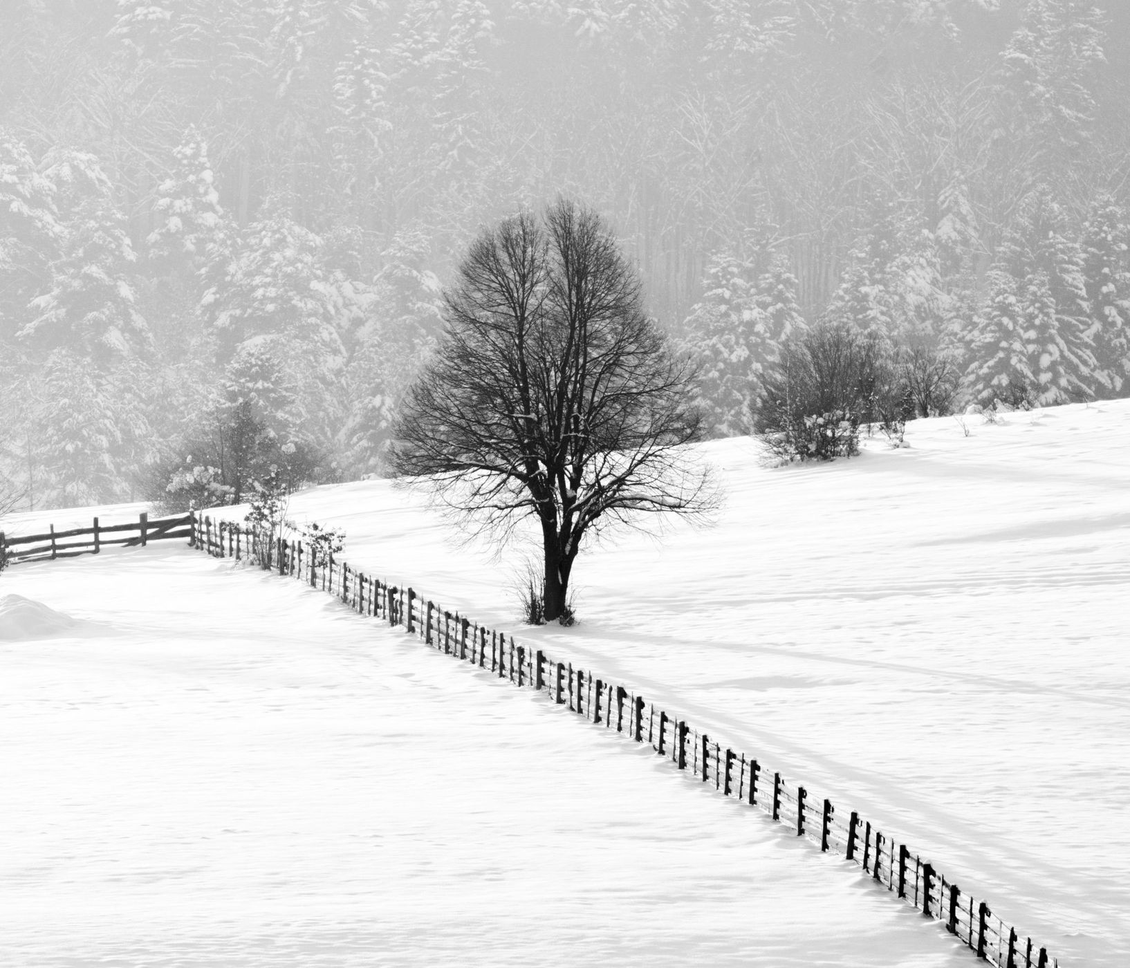 Nice view near Vulcan city, Romania