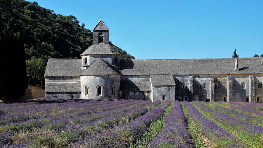 Lavender blossom at Notre-Dame de Sénanque