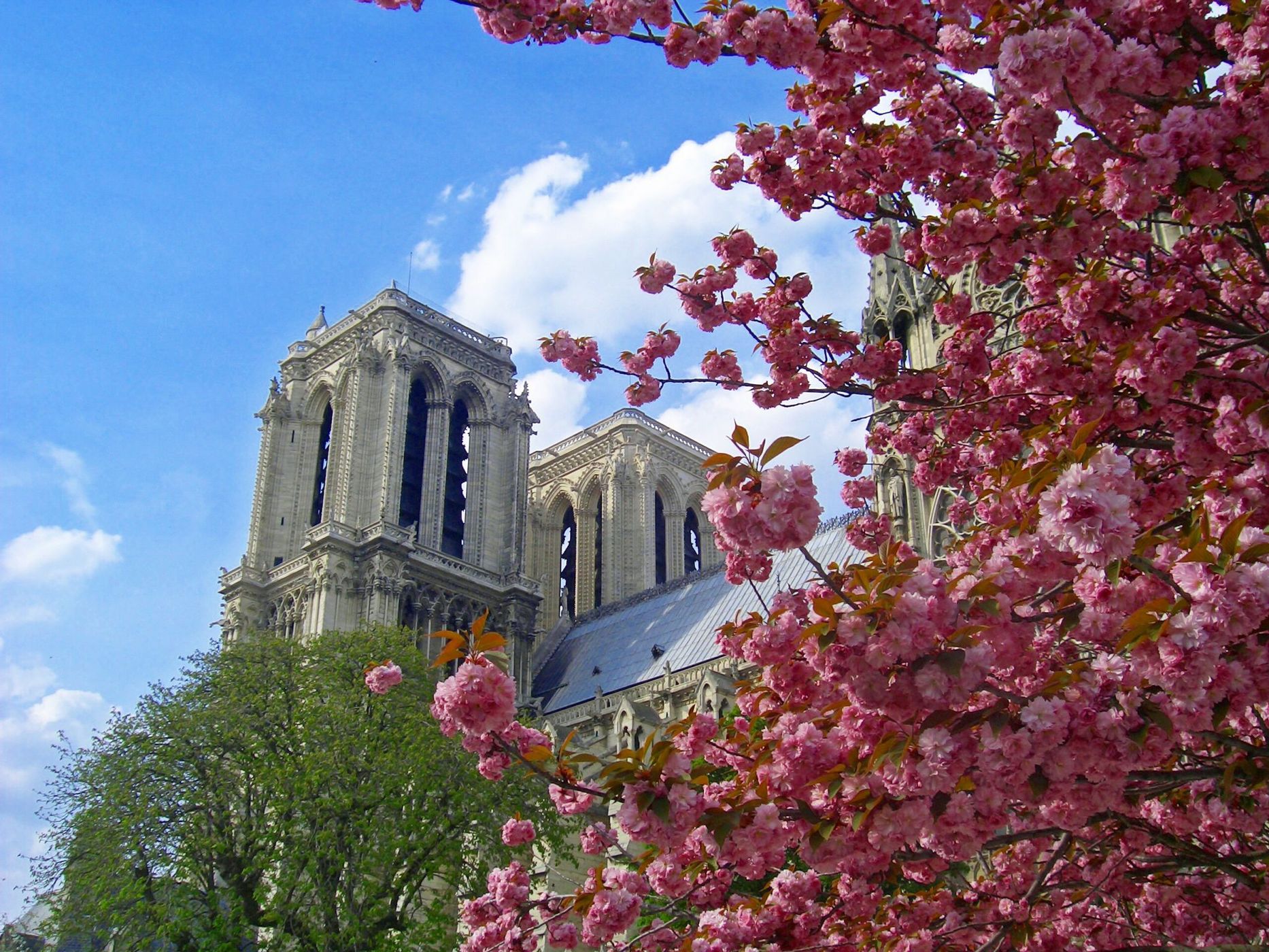 Notre Dame from Quai de Montebello, France