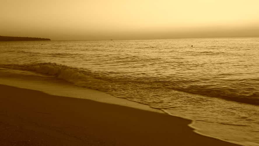 Obsor Sunrise