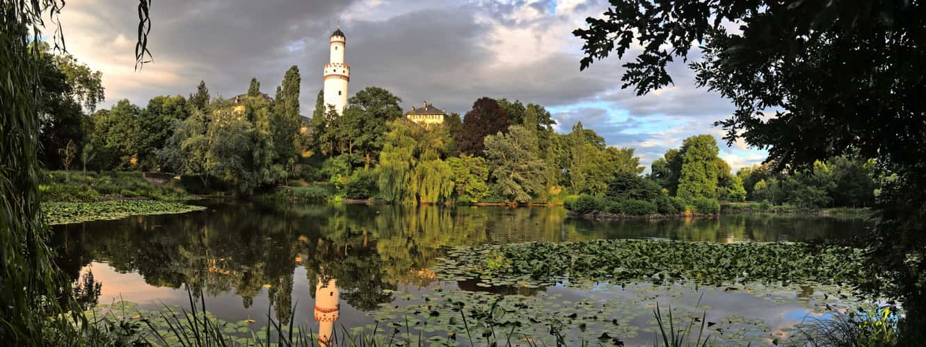 Palace Garden