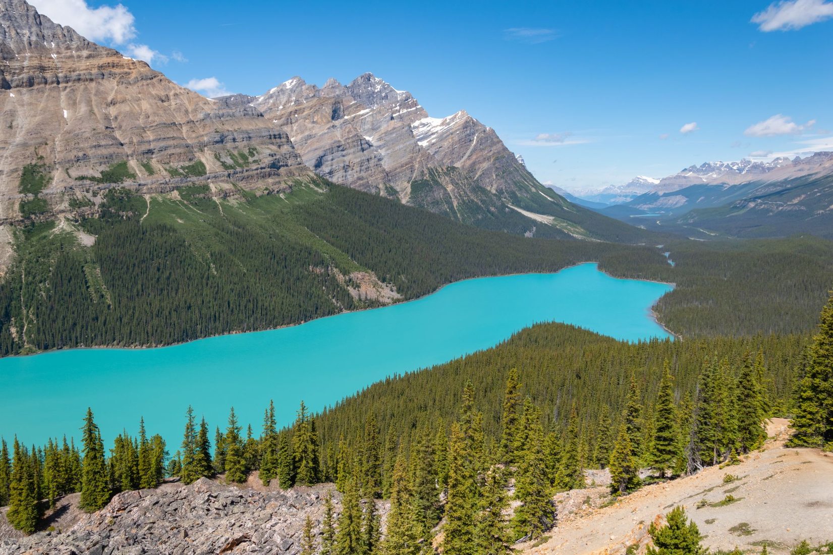 Peyto Lake Overview from Bow Summit, Canada