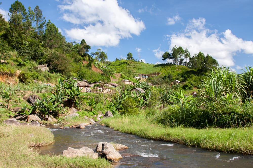 Ranomafana NP, Madagascar