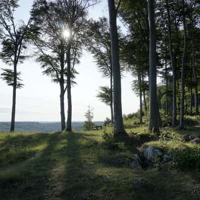 Rodstein, Germany