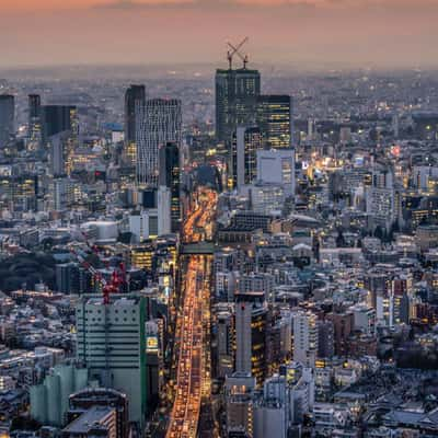 Roppongi Mori tower, Japan