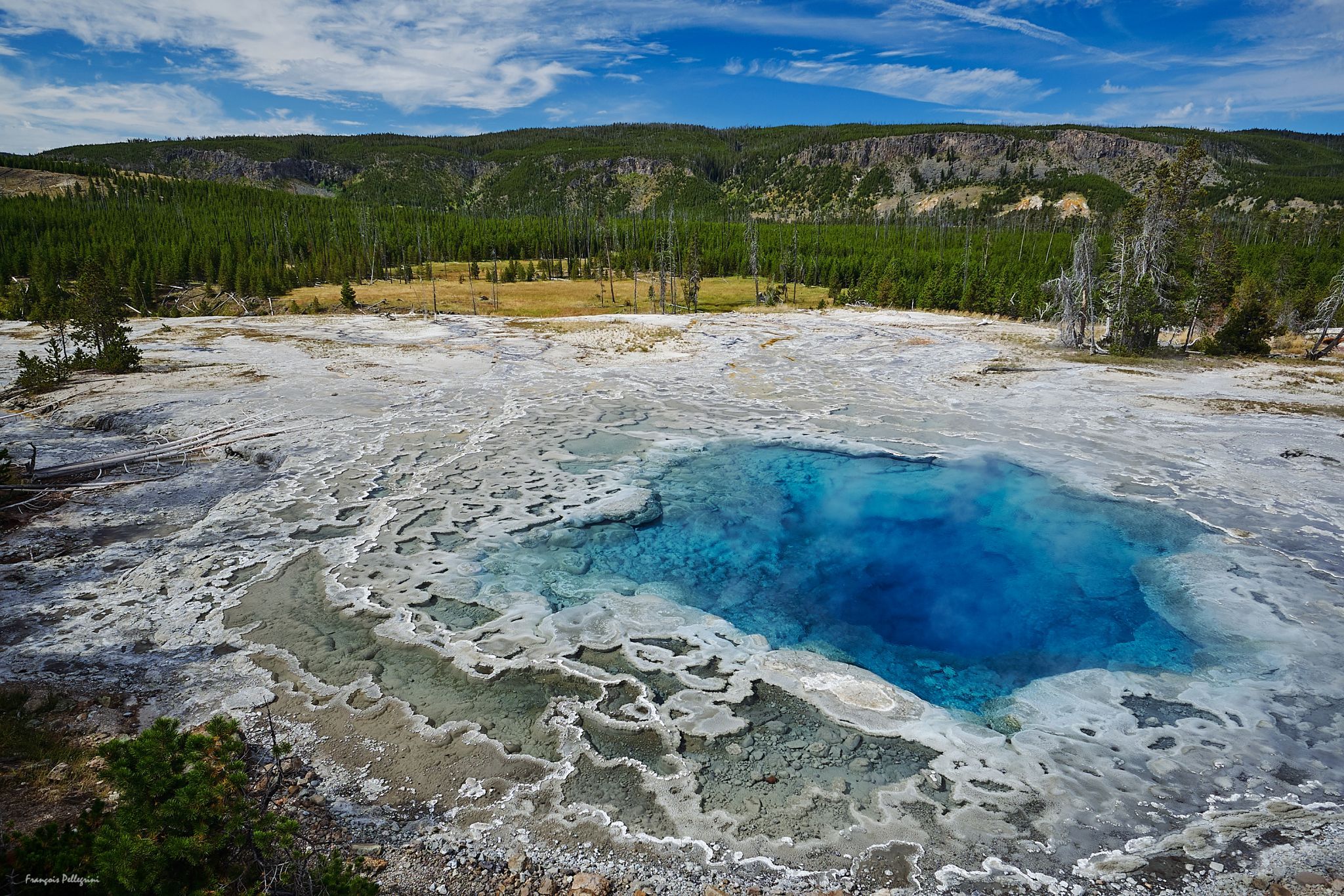 Artemisia Geyser, Yellowstone National Park, USA
