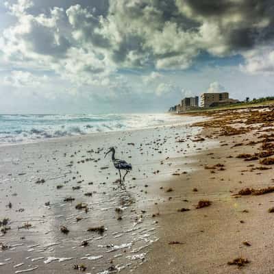 satellite Beach, USA