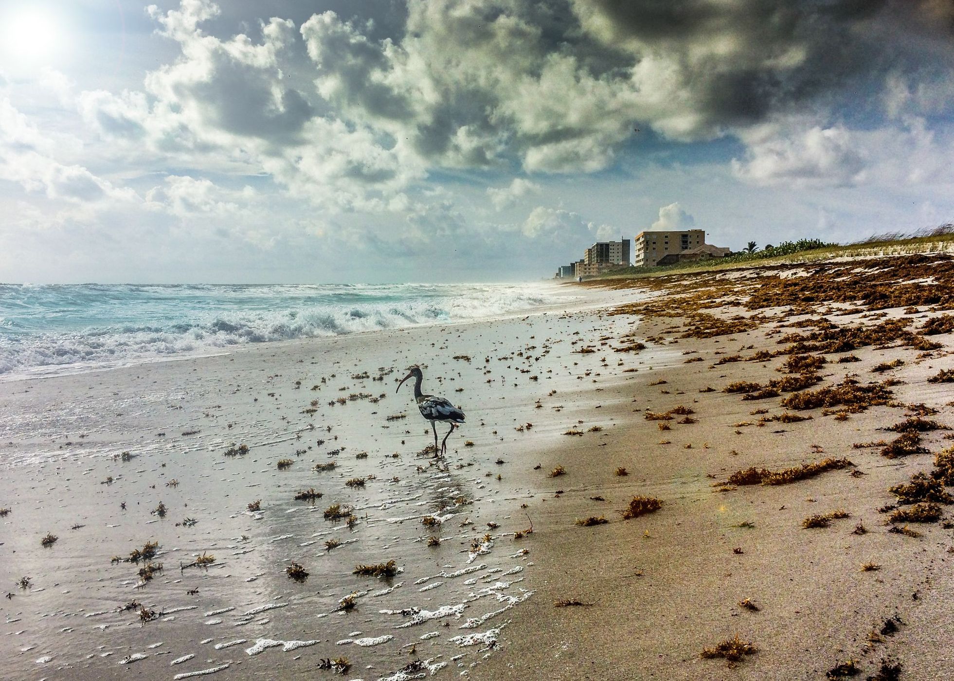satellite Beach, USA