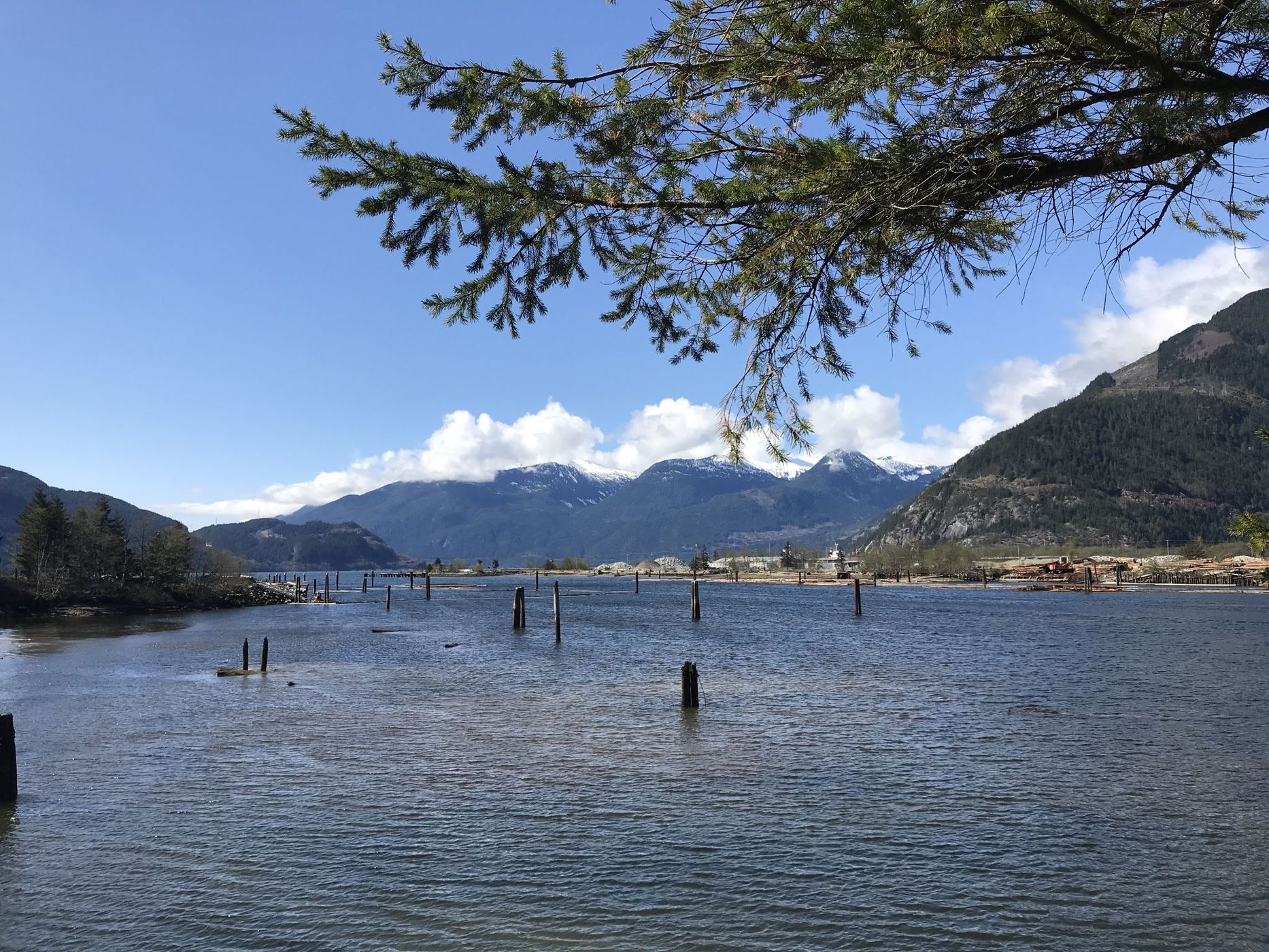 Squamish logging port, Canada