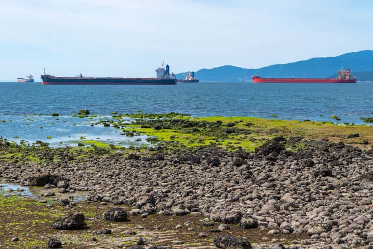 Stanley Park Seawall