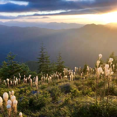 Sun Top Lookout, USA