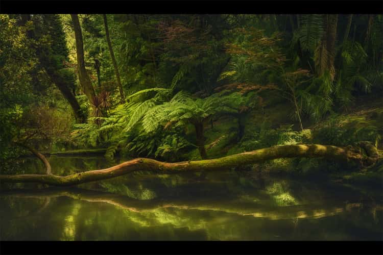 Terra-Nostra-Garden
