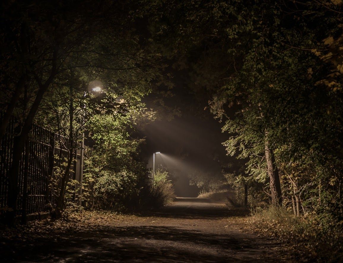 Torun, forest at night, Poland