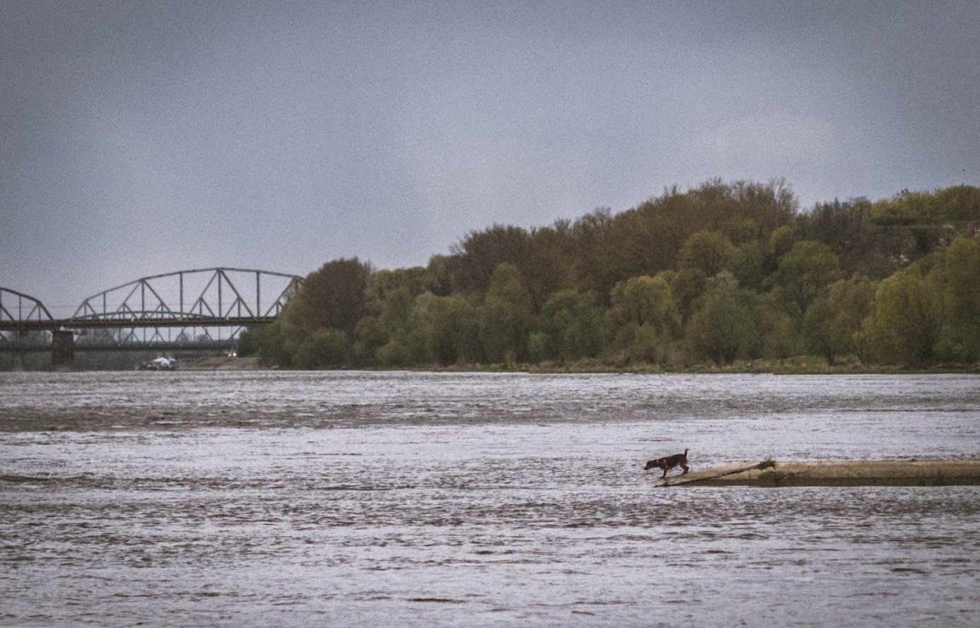 Torun, Vistula river, Poland