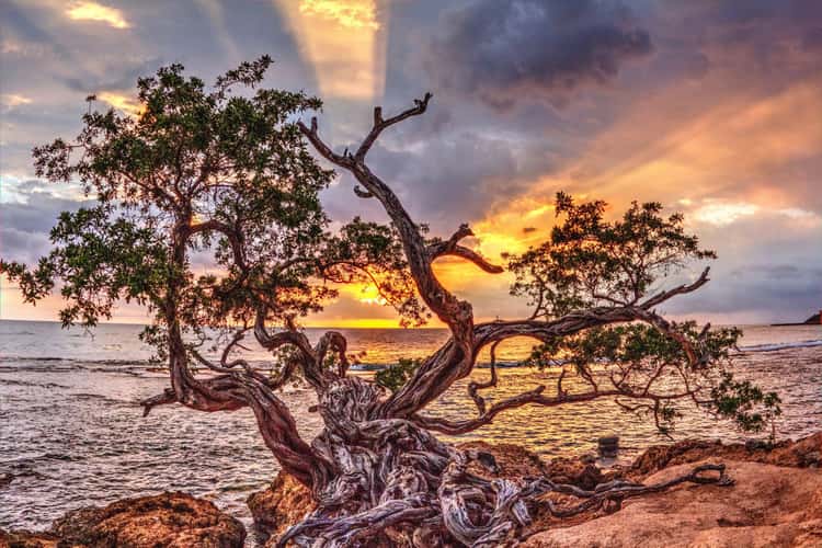 Treasure Beach, Jamaica