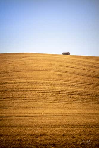 Val d'Orcia,SI,Toscana