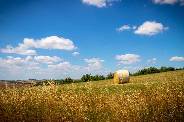 Val d'Orcia,SI,Toscana