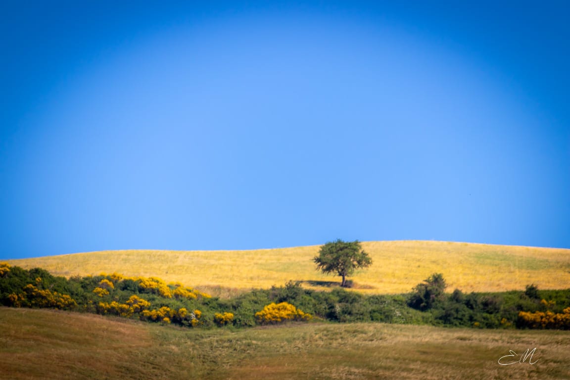 Val d'Orcia,SI,Toscana, Italy