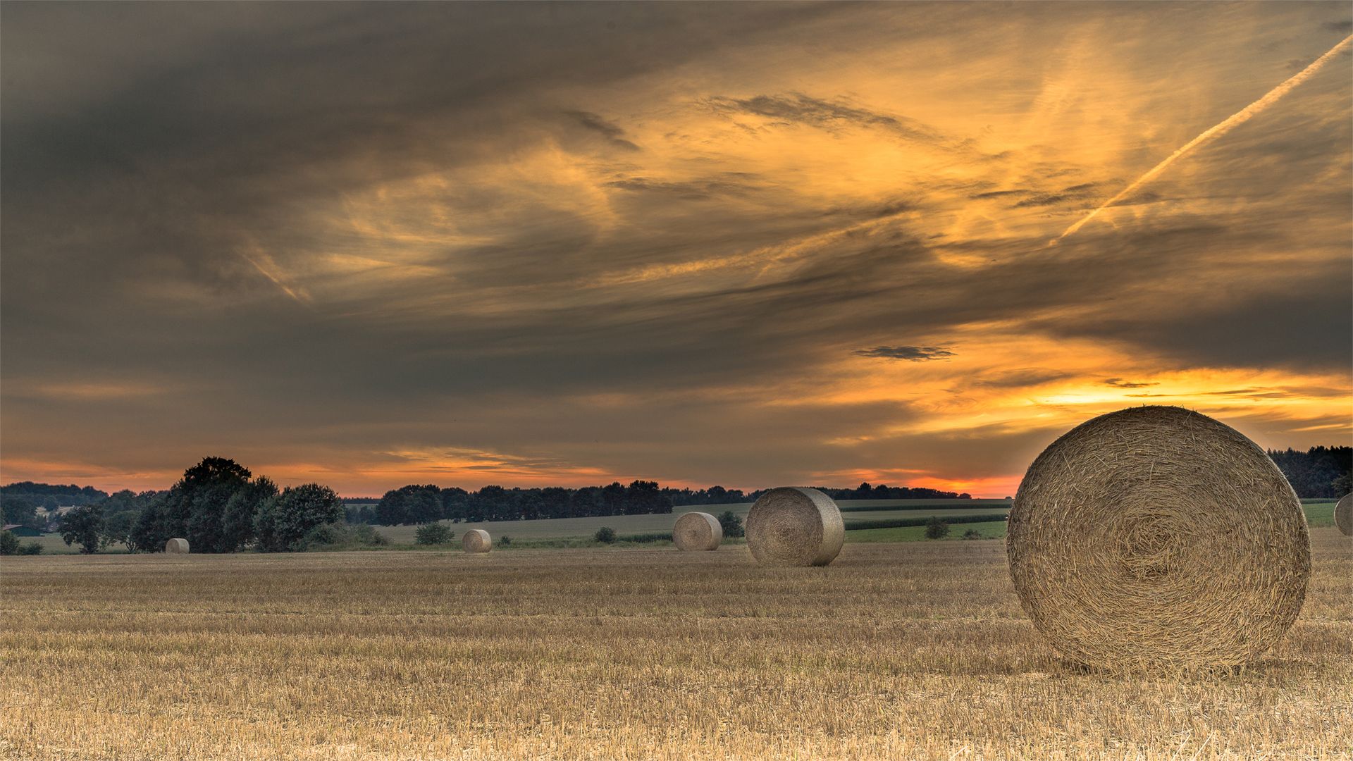 Vierde, Germany