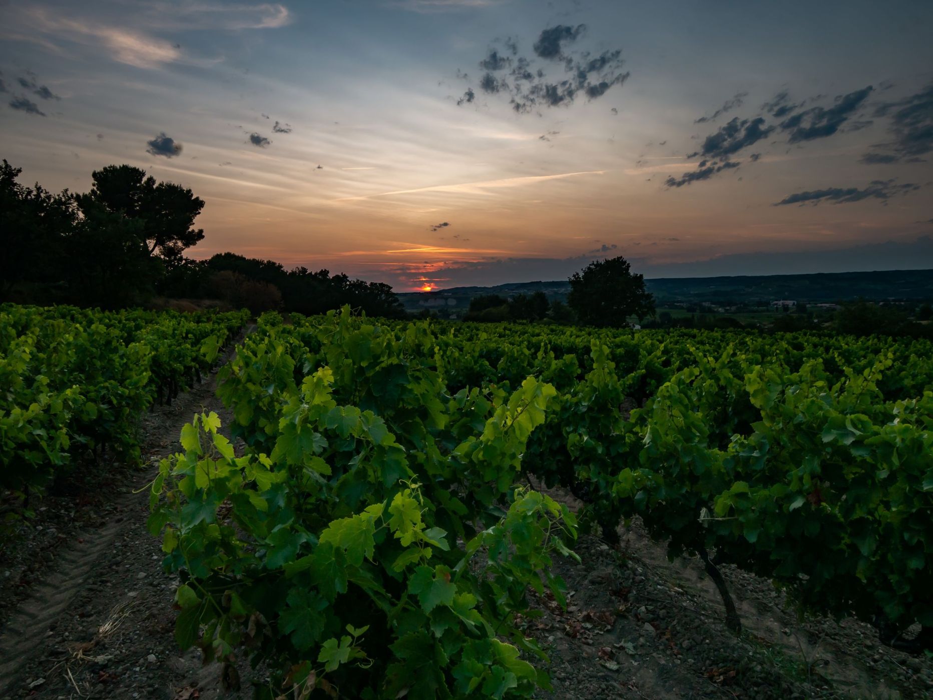 View over vineyards in Séguret, France