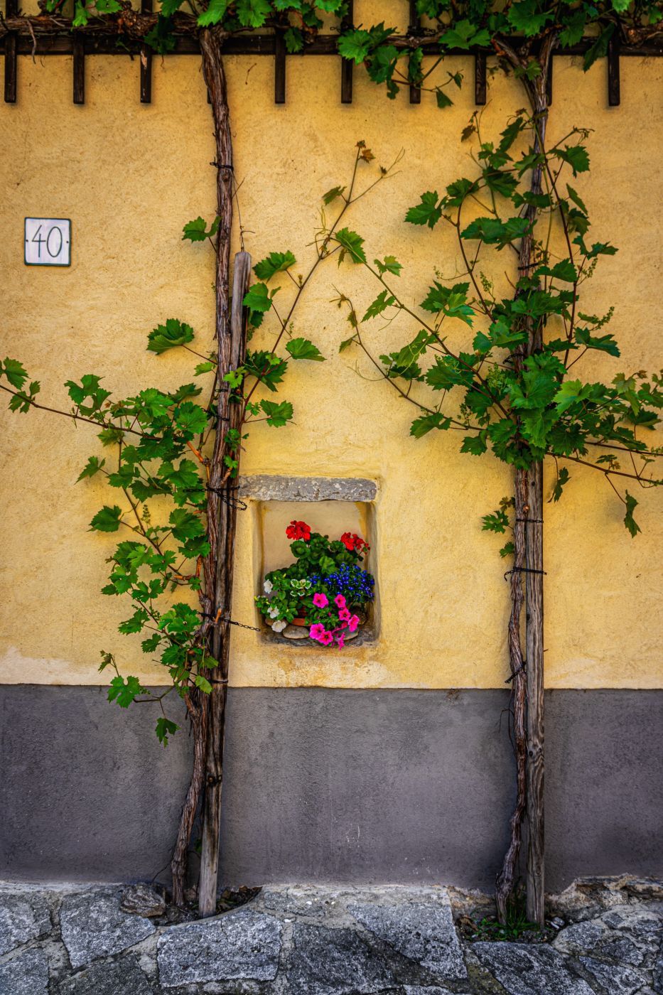 Wachau Valley Town, Austria