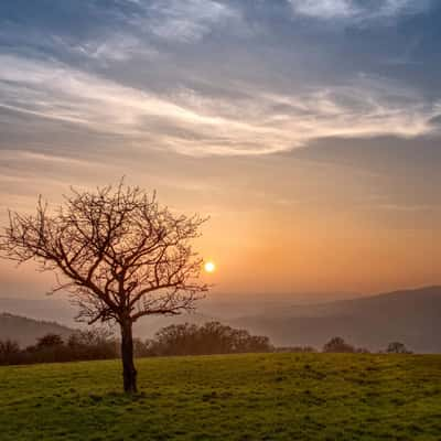 Wintermorning near Lahnstein, Germany